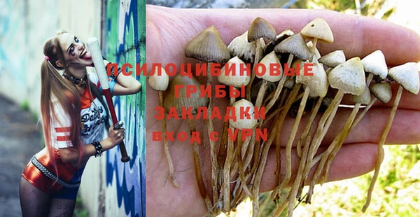стафф Новокубанск